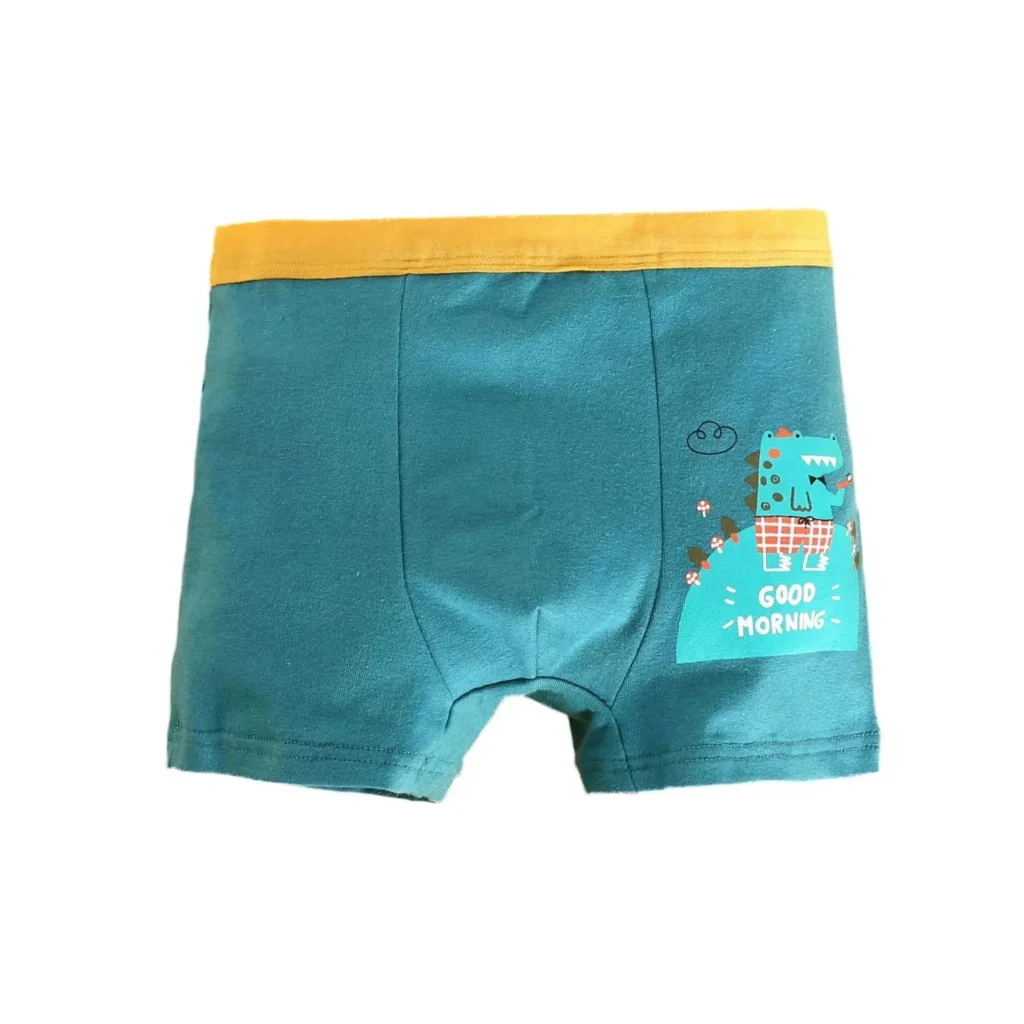 sous-vêtements dinosaure